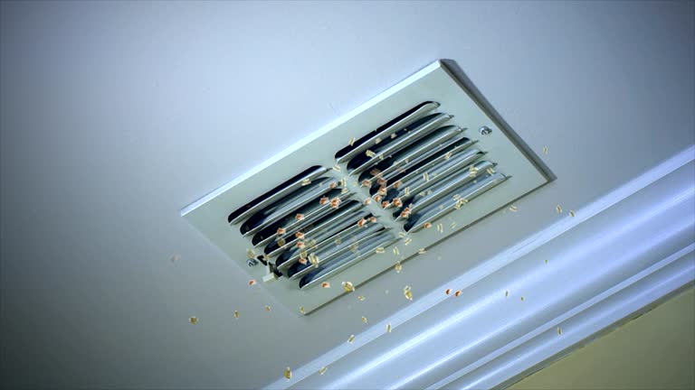 Best Best Air Duct Cleaning Company  in North Hobbs, NM