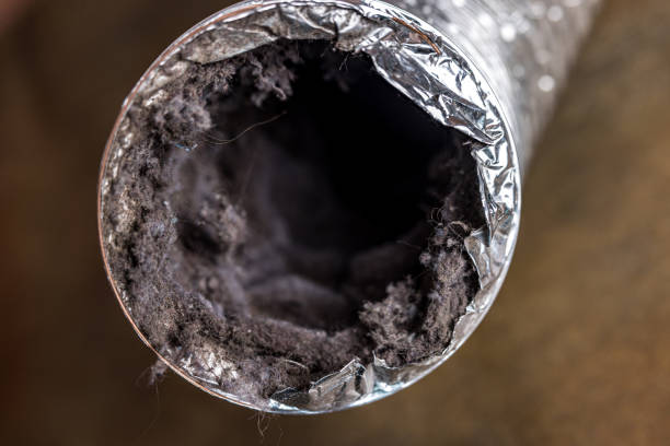 Best HVAC System Cleaning  in North Hobbs, NM